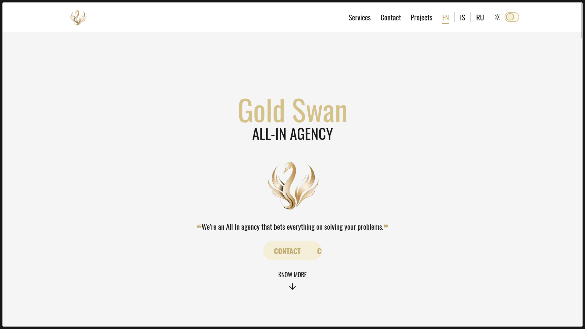 Project Preview